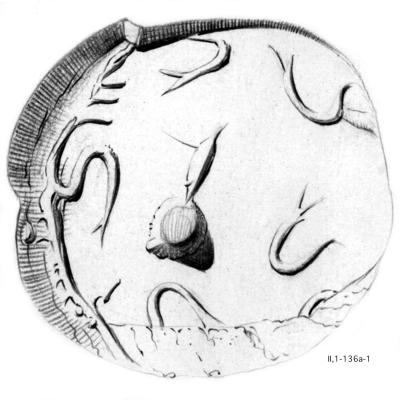 Fig. 4: CMS II,1 136a. The
                           engravings on the seal’s face are described with › Hakenspirale?(2),
                           Punkt, undefinierbar‹ (spiral hook?(2), dot, indeterminate). [Graphic by courtesy of the CMS Heidelberg.]