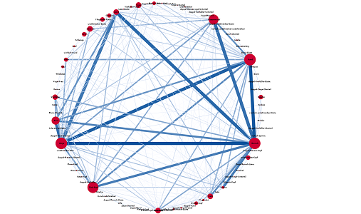 Fig. 11: A network
                        visualisation showing which creatures are often depicted together on a seal.
                        The underlying data takes into account all existent depictions, regardless
                        if they are certain or uncertain. [Graphic by Martina Trognitz, Vienna.]