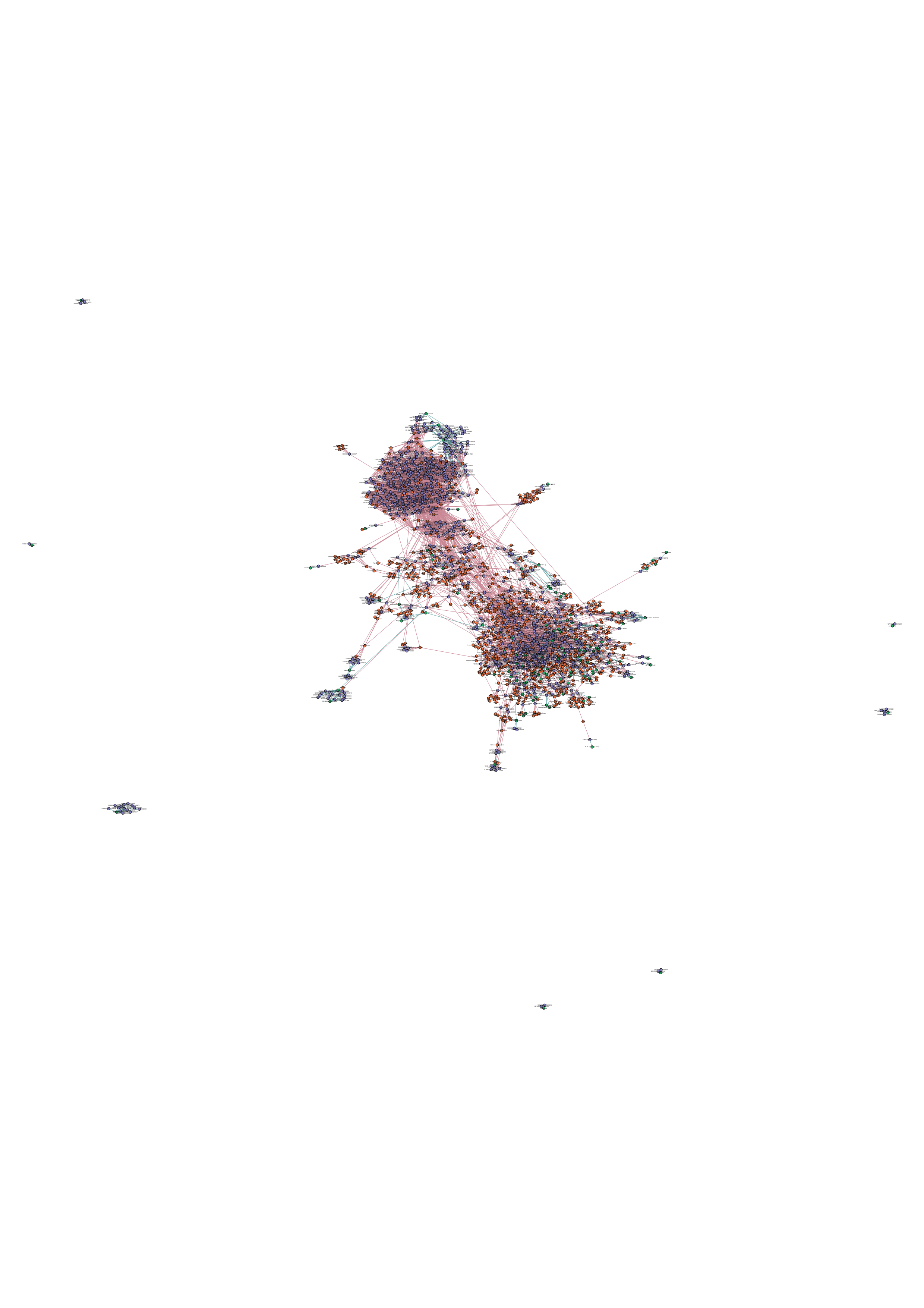 Abb. 5: Illustration eines Twitter-Netzwerks zum Hashtag
                           #Fachinformatiker für das erste Quartal 2020. Rote Knoten entsprechen
                           Tweets, blaue Hashtags und grüne Organisationen. [Dörpinghaus, 2022]